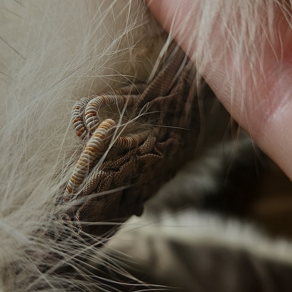 Fox Fur Luxurious 3pcs NWOT Genuine Hat, Cape and Scarf - Picture 14 of 14